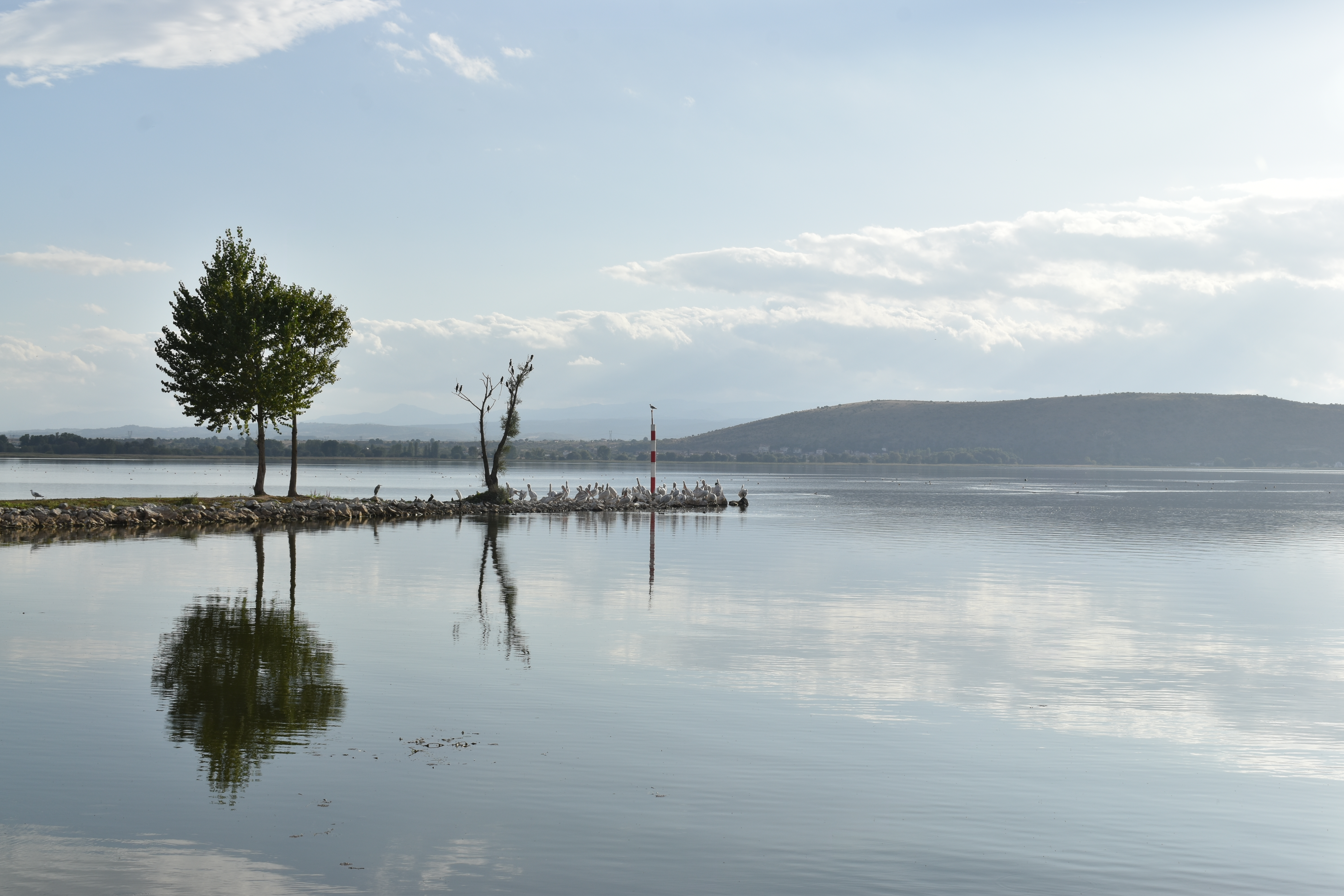 Πρώτο 3D μοντέλο